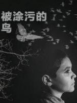 被涂污的鸟