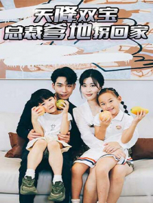 天降双宝总裁爹地拐回家