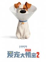 爱宠大机密2