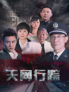 天网行踪