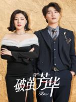 破茧芳华