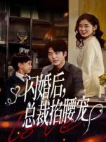 闪婚后总裁掐腰宠