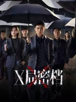 X局密档