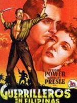 还我河山译制字幕版