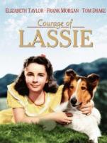 战火历险记译制配音版