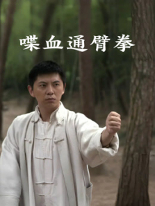 喋血通臂拳