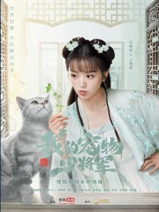 我的宠物少将军