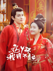 这丫环我用不起