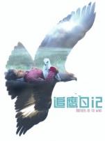 追鹰日记普通话