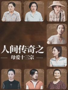 人间传奇之母爱十三宗