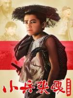 小兵张嘎独家修复版