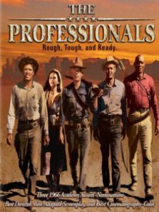 职业大贼译制字幕版