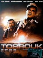 浴血狂沙译制字幕版