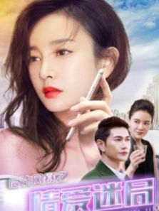 反诈风暴之情爱迷局