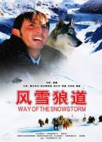 风雪狼道