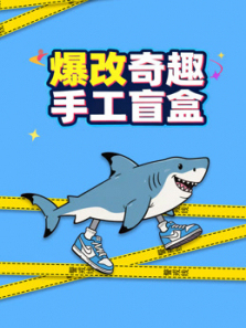 爆改奇趣手工盲盒