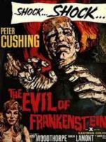 邪恶的科学怪人译制字幕版