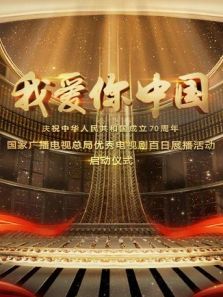我爱你中国