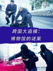 跨国大追捕博物馆的谜案