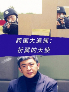 跨国大追捕折翼的天使