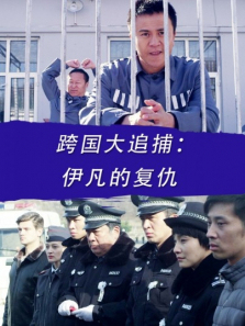 跨国大追捕伊凡的复仇