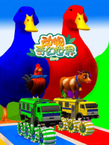 动物奇幻世界第三季