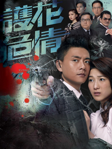 护花危情粤语版