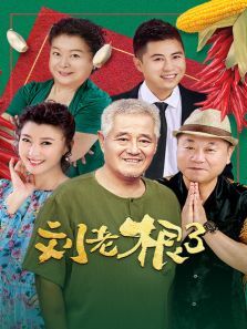 刘老根第三部
