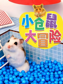 小仓鼠大冒险