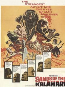 荒漠恩仇记译制字幕版