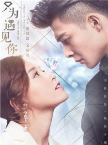 只为遇见你DVD版