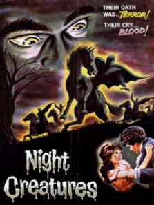 恶夜迷魂译制字幕版