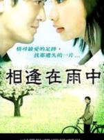 相逢在雨中