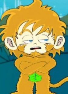 夺宝幸运星第一季