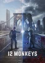 12只猴子第二季
