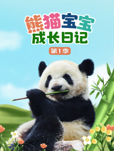 熊猫宝宝成长日记第一季