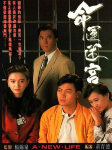 命运迷宫粤语版