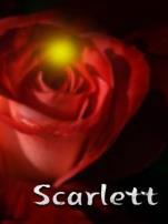 乱世佳人续集斯嘉丽2