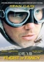 幻想飞翔