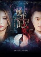 双生记之误入总裁身