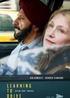 学会驾驶