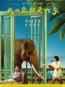 我的宠物是大象
