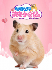 动物世界之萌宠小仓鼠