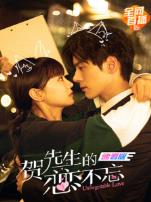 贺先生的恋恋不忘速看版