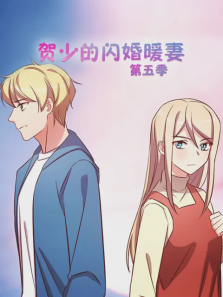贺少的闪婚暖妻第5季