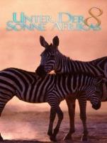 走进非洲8蓬勃的生命