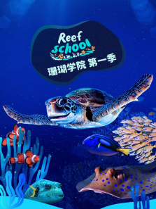 珊瑚学院第一季
