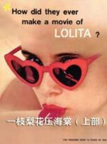 一枝梨花压海棠上部