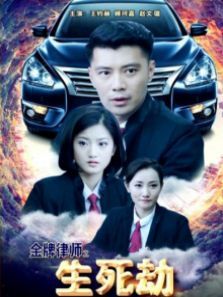 金牌律师之生死劫