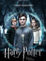 哈利波特7死亡圣器上普通话